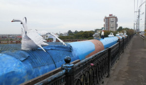 В Барнауле на мосту у нового рынка установили новых лебедей.