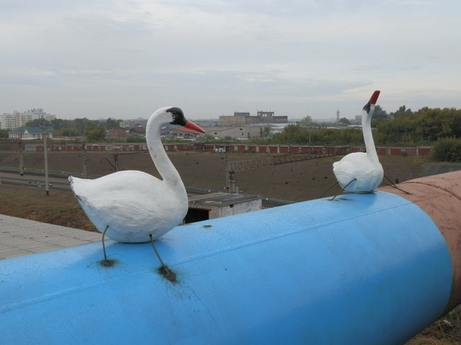 В Барнауле на мосту у нового рынка установили новых лебедей.