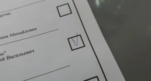 Выборы.