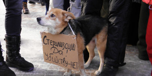 Пикет против убийства бездомных собак. Барнаул, 27 января 2013г.