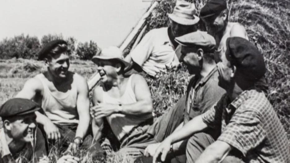 Целинники за работой.