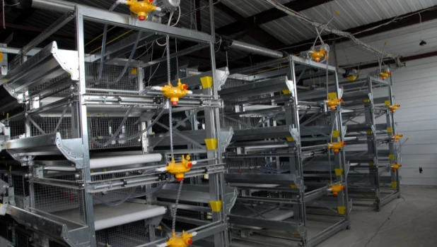 Летом 2011 году руководство "Россельхозбанка" вместе с краевыми СМИ смотрели, как проходит модернизация на "Павловской птицефабрики"