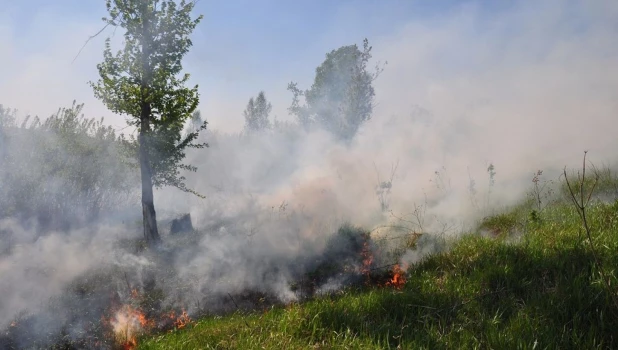 Лесные пожары на Алтае.