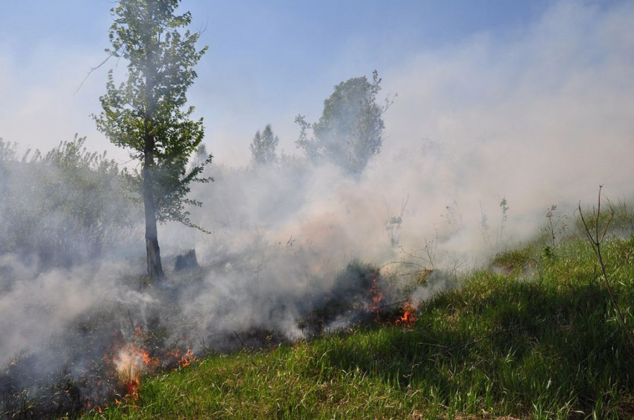Лесные пожары на Алтае.