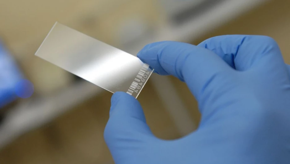 Слайды (микрочипы).