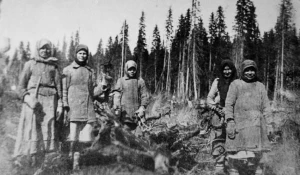 Алтайские крестьяне болезненно восприняли ограничения лесозаготовок и пошли воевать с царскими чиновниками за право рубить лес.