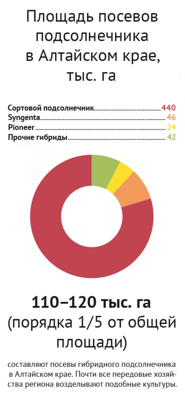 Площадь посевов подсолнечника в Алтайском крае, тыс. га