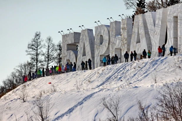 Авиационное шоу в Барнауле 24 января 2015 года.