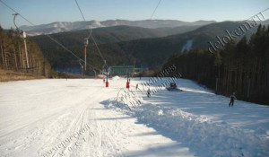 Крупнейший горнолыжный курорт Белокурихи продают за 215 млн рублей.