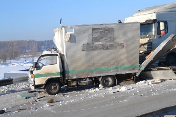 Породистая лошадь попала в ДТП в Бердске.