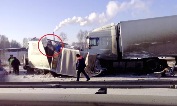 Под Бердском в ДТП попал фургон с лошадью.