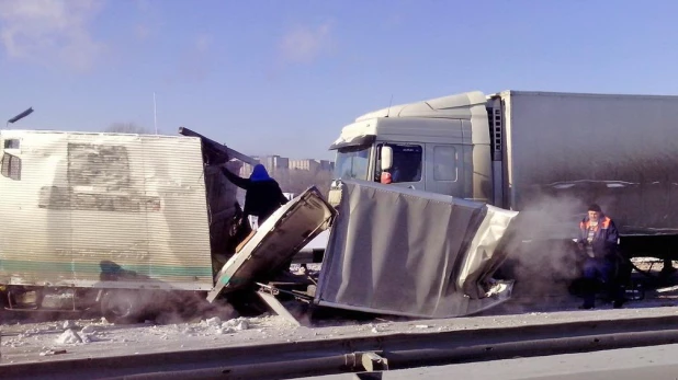 Под Бердском в ДТП попал фургон с лошадью.