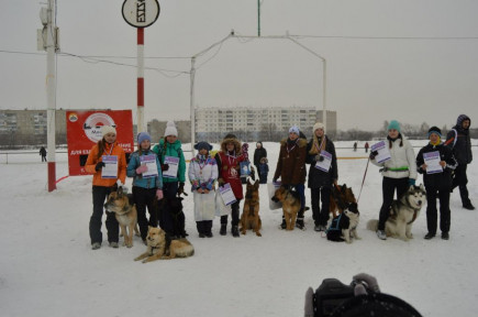 Кто быстрее буксирует лыжника – лошадь, собаки или мотоцикл: выясняли на любительских соревнованиях по скиджорингу в Барнауле.