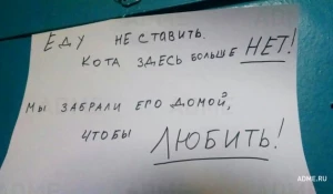 20 записок от людей, которым повезло с соседями.