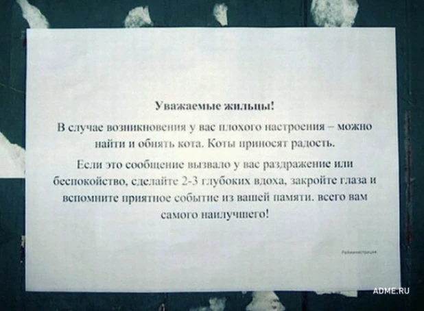 20 записок от людей, которым повезло с соседями.