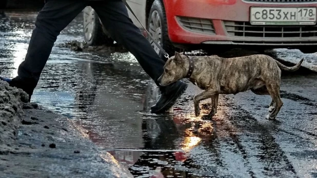 Вешние воды в первый день весны. Барнаул, 1 марта 2015 года.