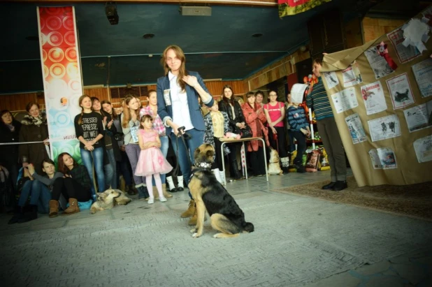 "Кубок Барбоса" в Барнауле. 1 марта 2015 года.