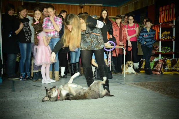 "Кубок Барбоса" в Барнауле. 1 марта 2015 года.