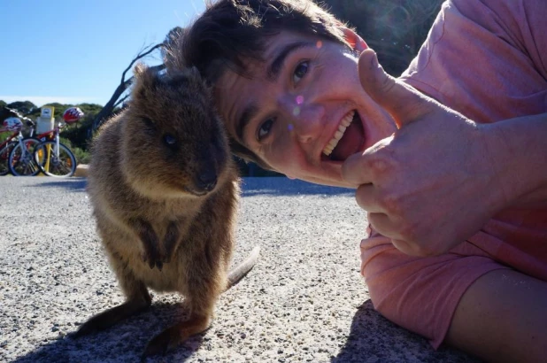 Quokka Selfie - новое интернет-увлечение австралийцев.