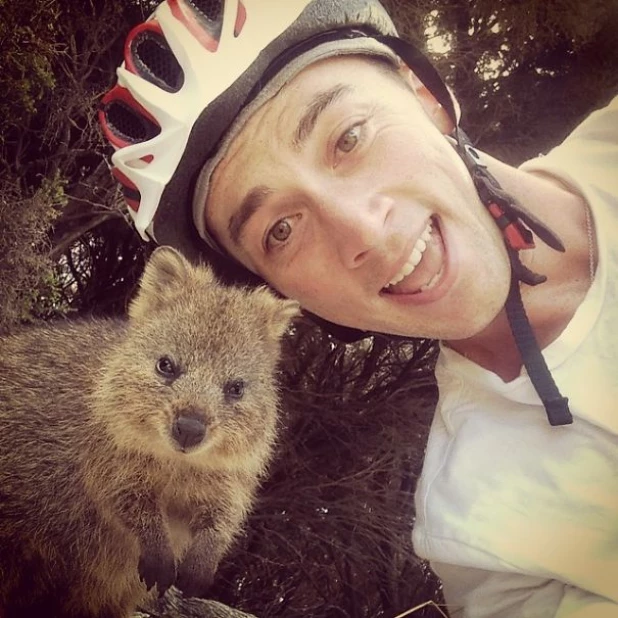 Quokka Selfie - новое интернет-увлечение австралийцев.