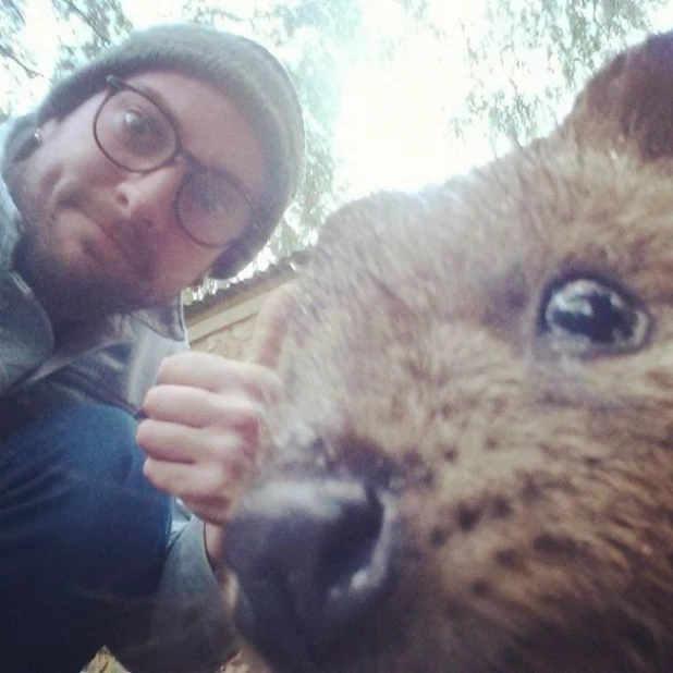 Quokka Selfie - новое интернет-увлечение австралийцев.