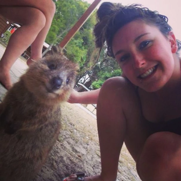 Quokka Selfie - новое интернет-увлечение австралийцев.