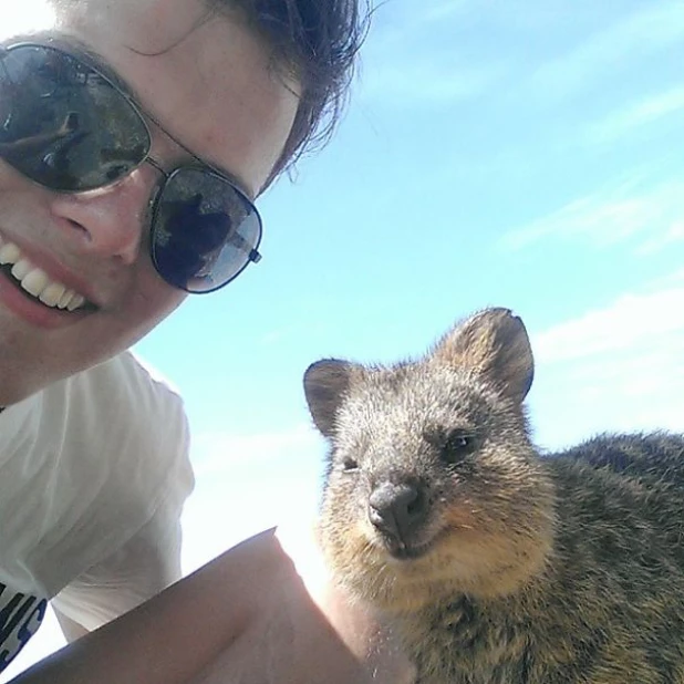 Quokka Selfie - новое интернет-увлечение австралийцев.