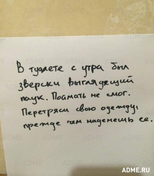 Записки от людей, которым повезло в любви.