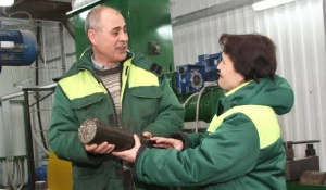 Алтайское топливо из лузги подсолнечника.