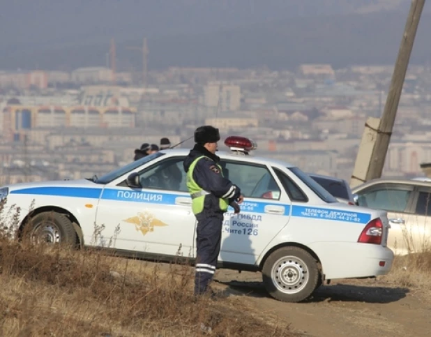 Стая собак загрызла второклассника в Чите.