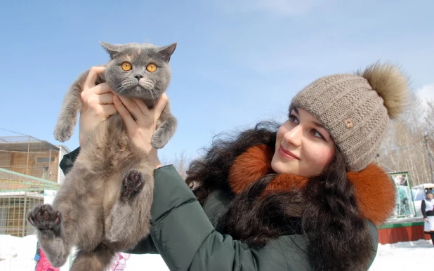 "Праздник мартовских котов" в парке "Лесная сказка".