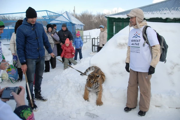 "Праздник мартовских котов" в парке "Лесная сказка".