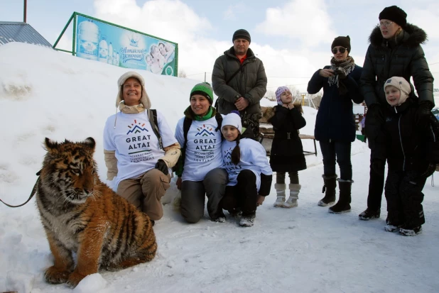 "Праздник мартовских котов" в парке "Лесная сказка".