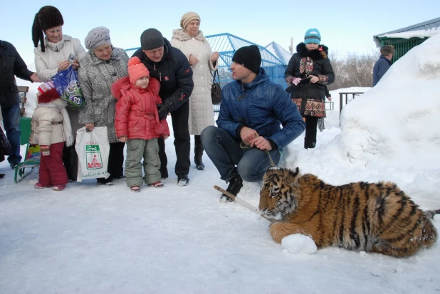 "Праздник мартовских котов" в парке "Лесная сказка".