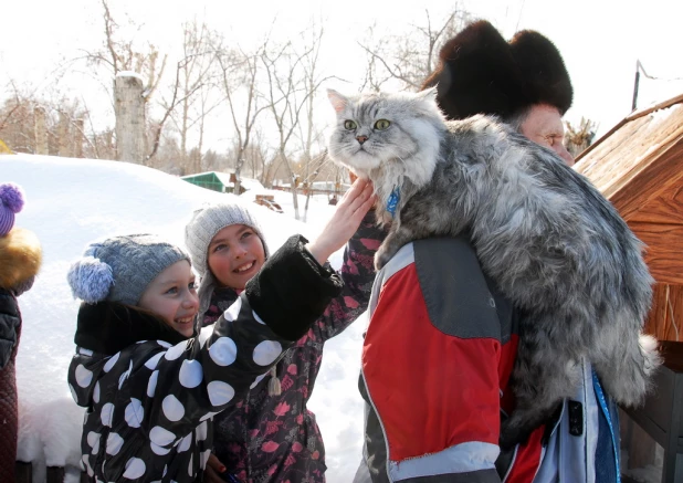 "Праздник мартовских котов" в парке "Лесная сказка".