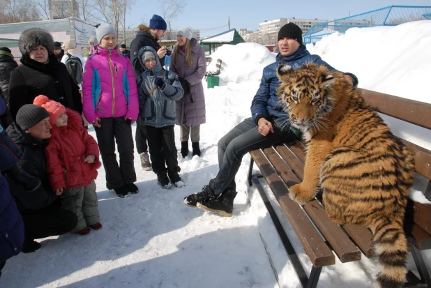 "Праздник мартовских котов" в парке "Лесная сказка".