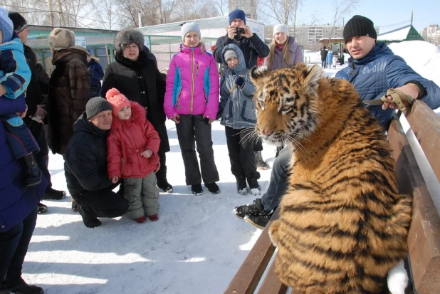 "Праздник мартовских котов" в парке "Лесная сказка".