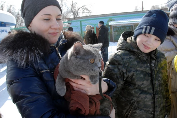 "Праздник мартовских котов" в парке "Лесная сказка".