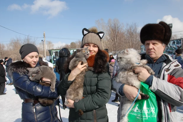 "Праздник мартовских котов" в парке "Лесная сказка".