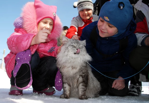 "Праздник мартовских котов" в парке "Лесная сказка".