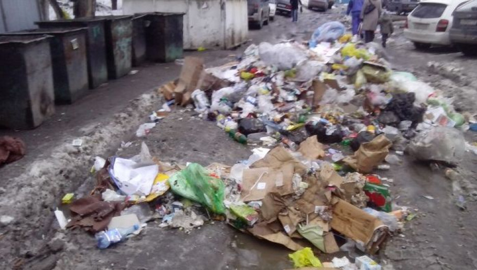 Распотрошенная мусорка в Барнауле.
