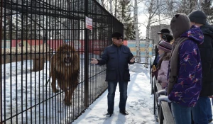 Для участников истории на улице Заветной устроили экскурсию по зоопарку.