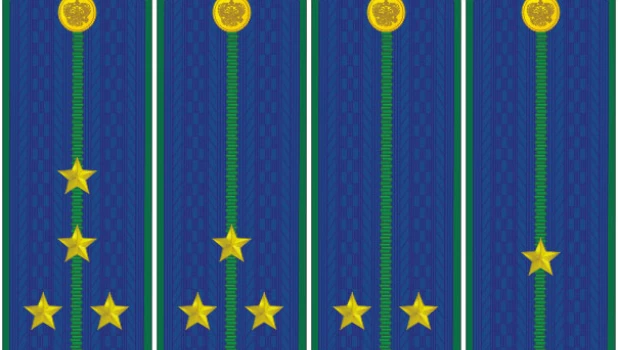 Юрист 1 класса, юрист 2 класса, юрист 3 класса, младший юрист.