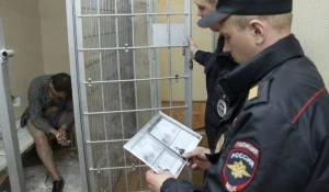 Новосибирские дебоширы.