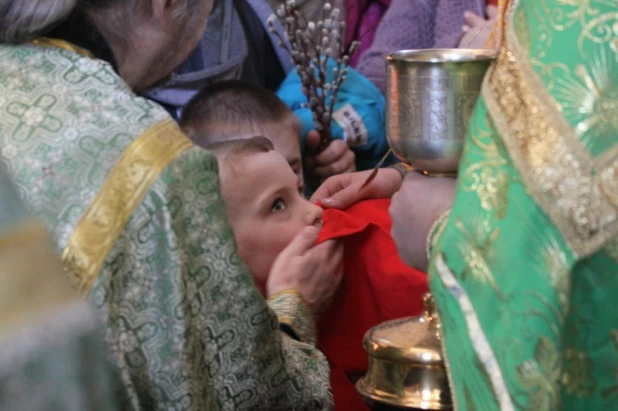 Вербное воскресенье в Барнауле. 5 апреля 2015 года.