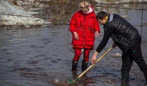 Подтопление улицы Тальниковой во Власихе. 9 апреля 2015 года.