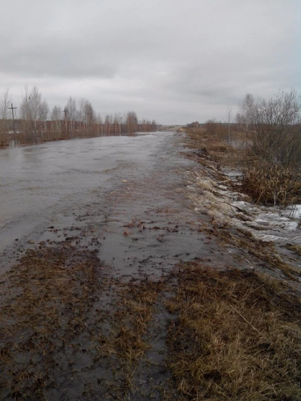 Талые воды размыли трассу у Камня-на-Оби.