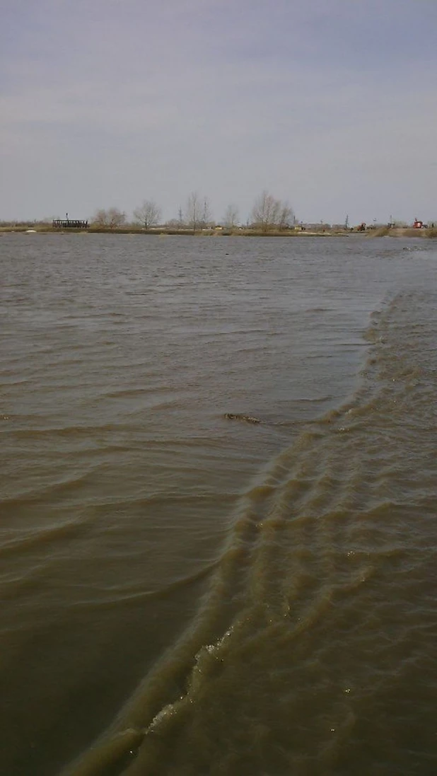 В Николаевку (Локтевский район) пришла талая вода. 13 апреля 2015 года.