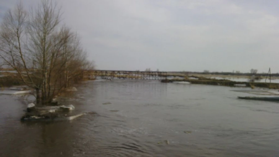 В Николаевку (Локтевский район) пришла талая вода. 13 апреля 2015 года.