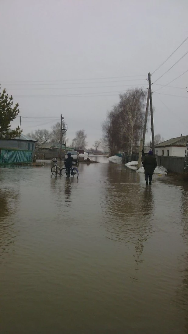 В Николаевку (Локтевский район) пришла талая вода. 13 апреля 2015 года.